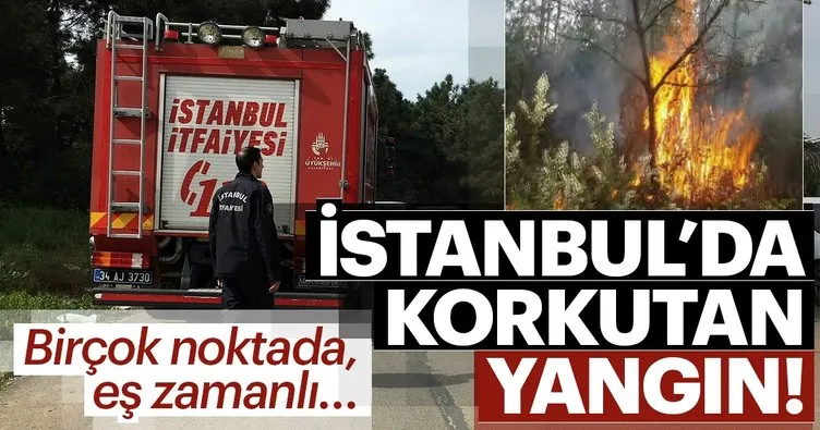 Son Dakika Haberi: İstanbul’da orman yangını! Sancaktepe Aydos Ormanı’nda yangın çıktı