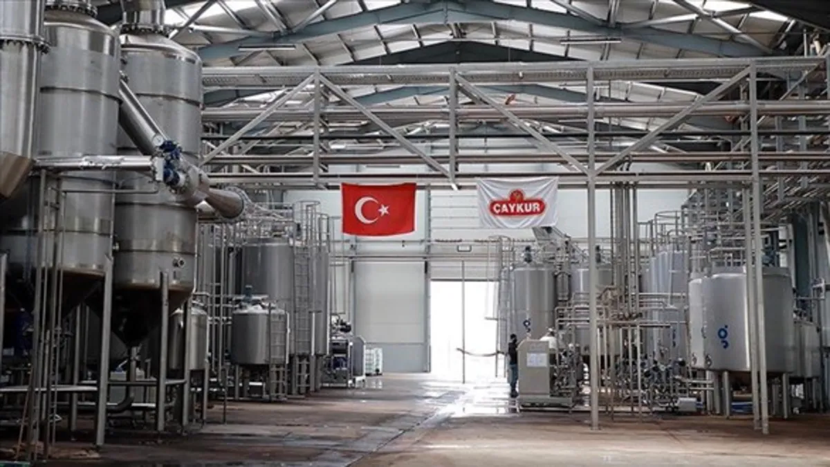 Kamu iştiraki atamalarında 40 yaş şartı kaldırıldı