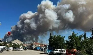 Çanakkale’nin kül tablosu... Yangınlarda 952 futbol sahası büyüklüğünde hektar alan kül oldu #canakkale