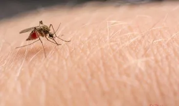 Koronavirüs sivrisineklerle bulaşır mı?