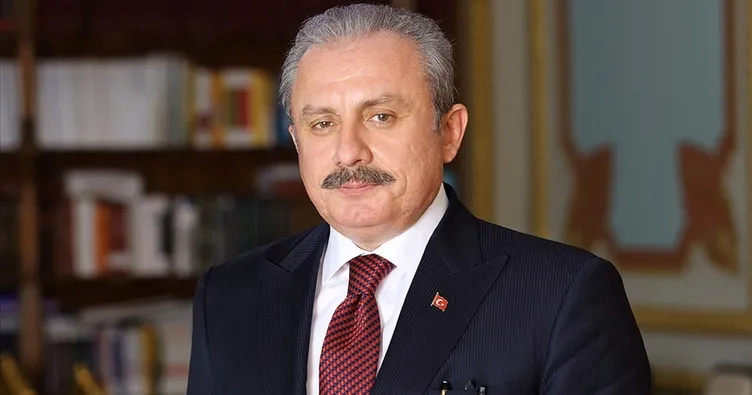 TBMM Başkanı Şentop’tan yeni yıl mesajı