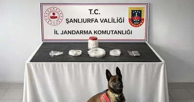 Şanlıurfa’da uyuşturucu operasyonu