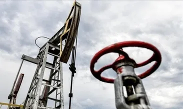Türkiye’nin petrol ithalatı belli oldu