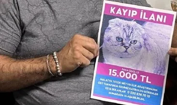 Yumoş'u bulana 15 bin TL ödül! #malatya
