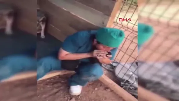 Bartın'da ölü doğan 4 yavru köpeği kalp masajı yaparak hayata döndüren hayvansever kamerada | Video
