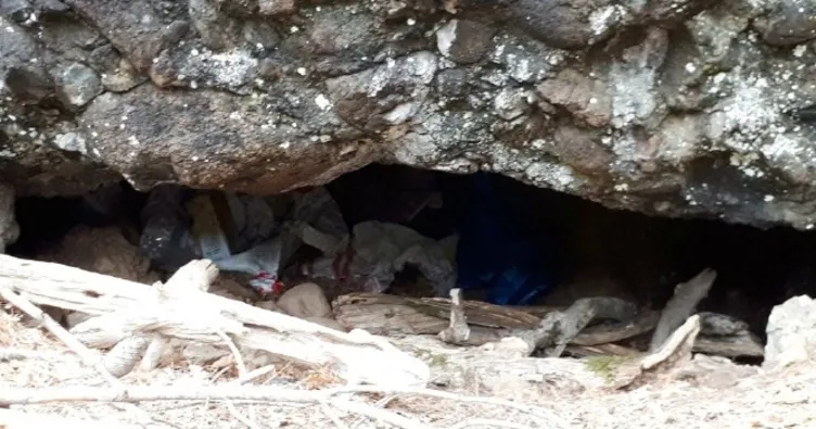 Son Dakika: Ağrı Dağı’nda PKK operasyonu