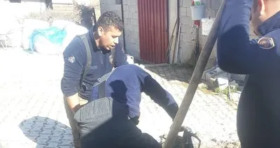Kanala sıkışan inek yavrusunu itfaiye kurtardı #hatay