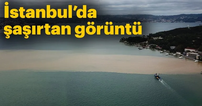 Marmara Denizi’nde şaşırtan görüntü