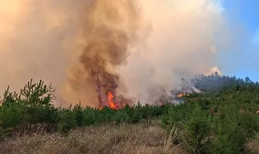 Adana’da orman yangını: Havadan ve karadan müdahale sürüyor