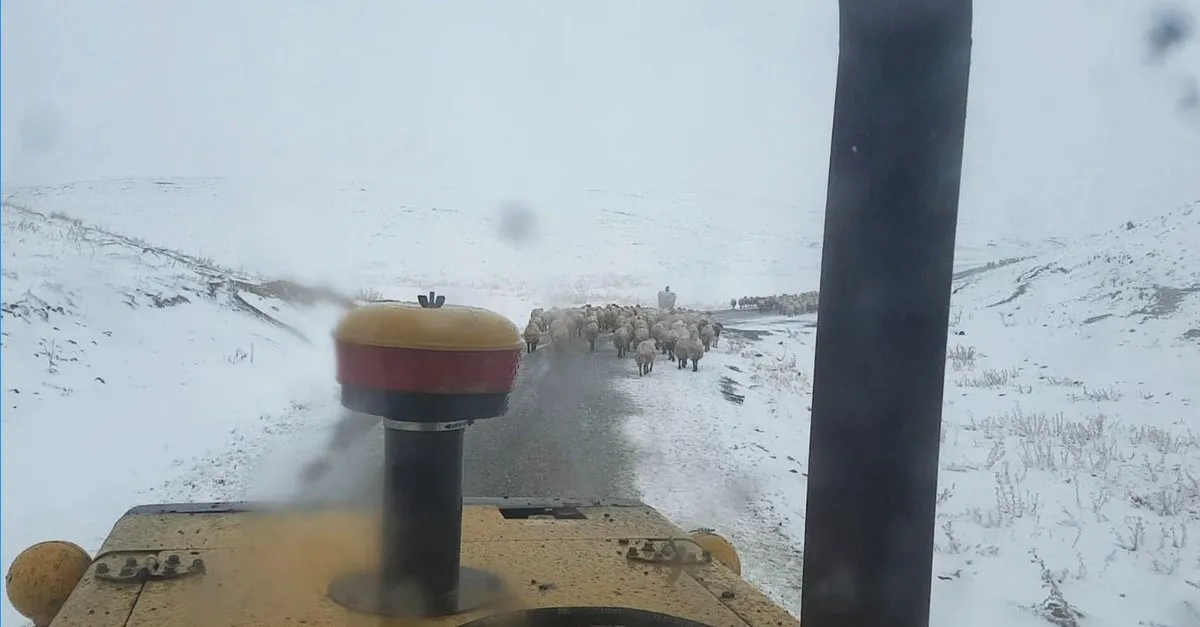 malatya da mevsimin ilk kari yagdi son dakika haberler