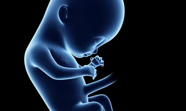 19. hafta hamilelik belirtileri nelerdir?