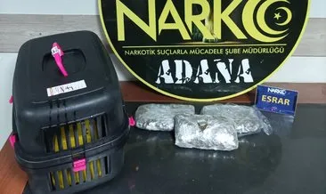 Kedi kafesinden uyuşturucu çıktı #adana Kedi kafesinden uyuşturucu çıktı #adana