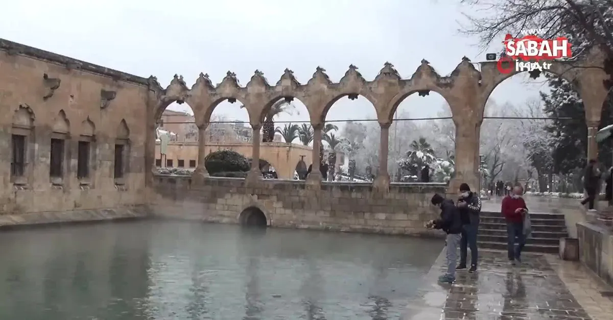 balikligol beyaza burundu video