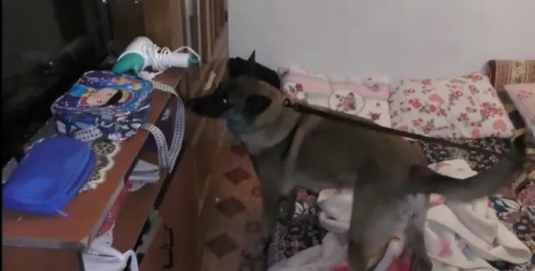 Çöp eve baskın düzenleyen ekipler gördükleri karşısında neye uğradığını şaşırdı