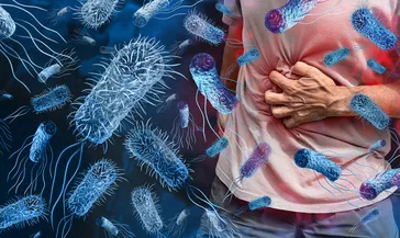 Uzmanlardan gıda zehirlenmesi alarmı! Dışarıda yemek yerken bunlara dikkat edin...