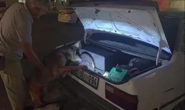 Adana'da binlerce adet uyuşturucu yakalattı: Savunması pes dedirtti! Öyle bir yere saklamış ki #adana