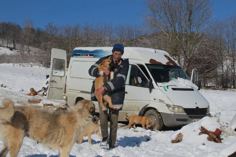 Sokak hayvanlarını beslemek için İstanbul’daki dairesini sattı! Şimdi minibüste yaşıyor!