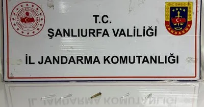 Şanlıurfa’da zehir operasyonu: Kenevir tarlaları imha edildi #sanliurfa
