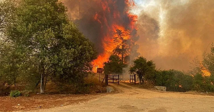 Şili’de orman yangınları söndürülemiyor: 51 ölü
