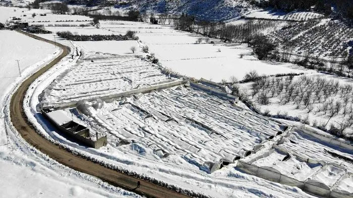 Kar, gül serasını yerle bir etti, 2,5 milyon zarar meydana geldi