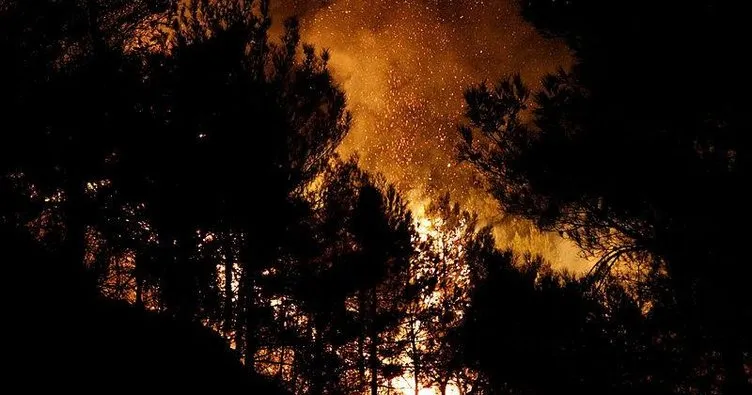 Son dakika: Hatay’da orman yangını