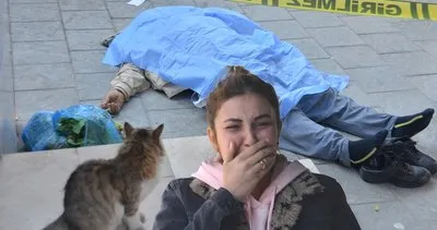 Adana’da yürekleri yakan manzara: Kedi cesedin başında bekledi!