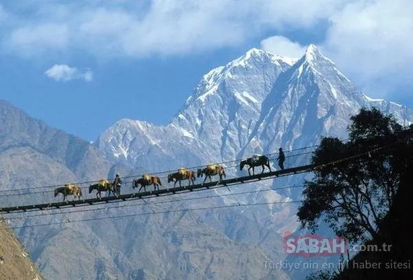 120 yıl yaşayan Hunza Türkleri'nin yaşam sırrı! Neredeyse hiç hasta olmuyorlar...