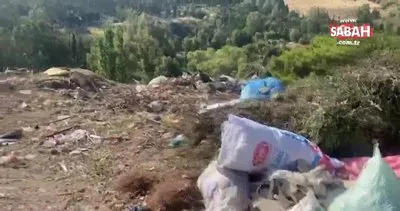 CHP’li Dikili Belediyesi’nden sonra şimdi de Karşıyaka’da skandal görüntüler: Ormanlık alan adeta çöplüğe döndü! | Video