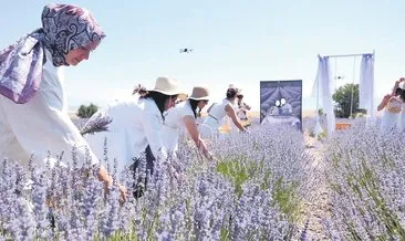 Lavanta tarlasında ‘evet’ dediler #burdur