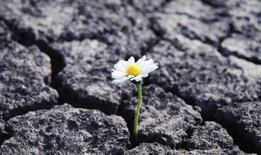 Milyonlarca kalpte yanan ateş: 6 Şubat anısına...