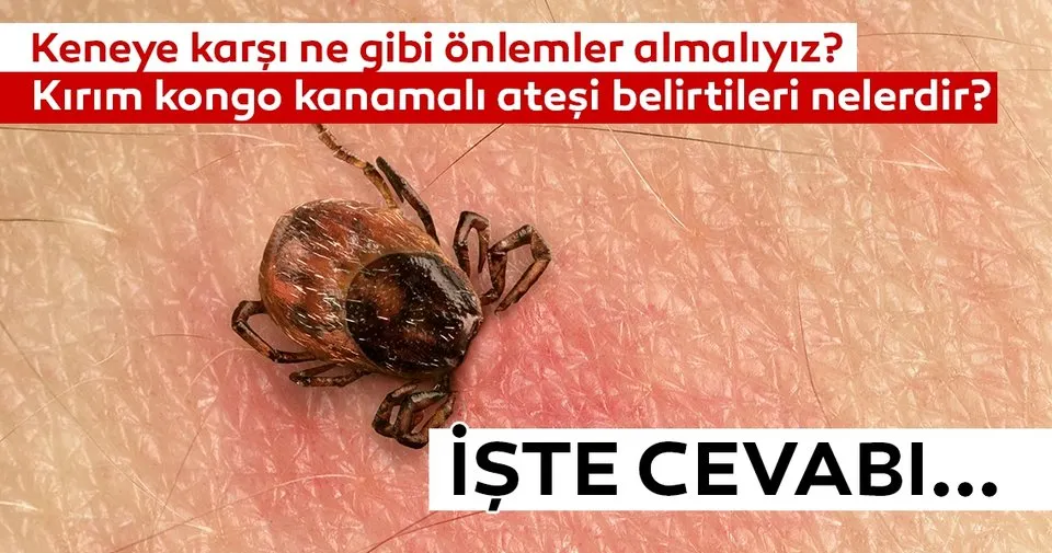 belirtileri nelerdir