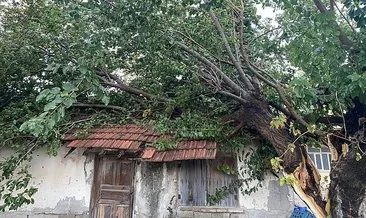 Antalya’da hortum ev ve seralara zarar verdi #antalya