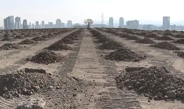 Yeşil vatan seferberliği