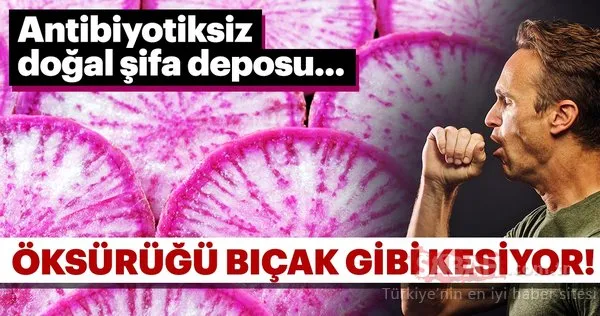 Tam bir şifa deposu! Bu yöntemle öksürüğünüz bıçak gibi kesilecek!
