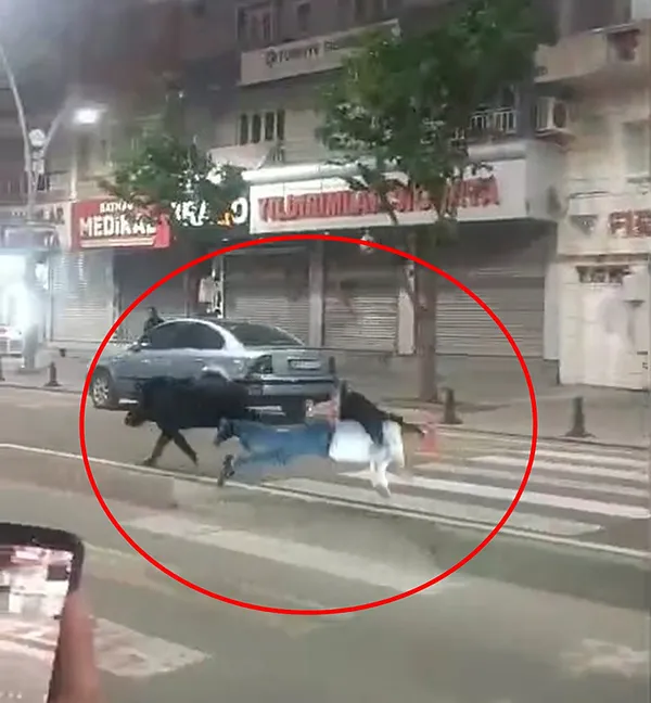 batmanda-sehir-merkezinde-dehset-yaya-gecidinden-gecenlere-domuz-saldirdi-o-anlar-kamerada-1777370127855.jpeg