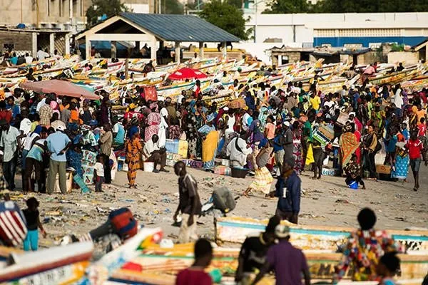 Dakar’da balık pazarı