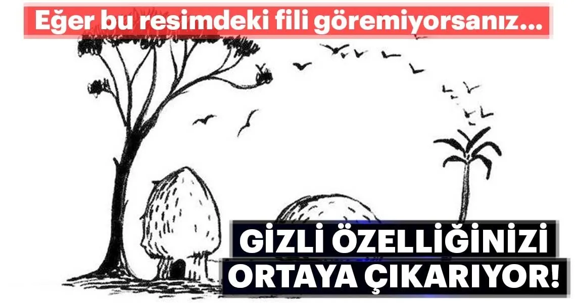 Bu Resimde Ilk Ne Goruyorsun Kisilik Testi Galeri Yasam