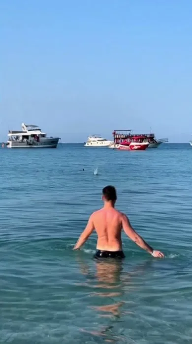 Antalya’da panik anları: Bir anda suda belirdi herkes köpek balığı sandı ama…
