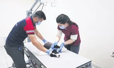 Düzce Belediyesi’nden örnek rehabilitasyon