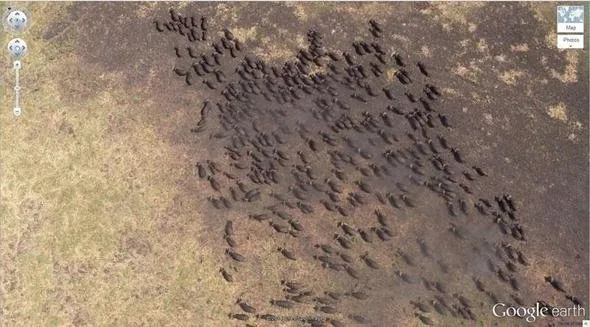 google earth e yakalanan ilginc
