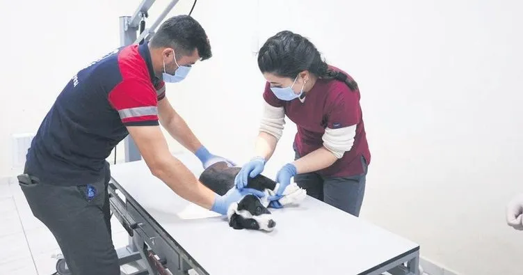 Düzce Belediyesi’nden örnek rehabilitasyon