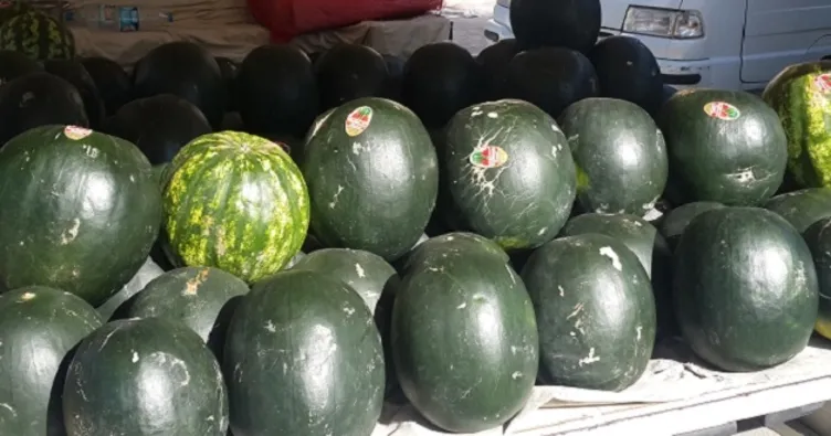 İran karpuzu, kilosu 5 liradan tezgahta