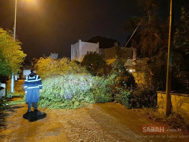 Bodrum’da fırtına etkili oldu: Tekneler suya gömüldü, ağaçlar devrildi