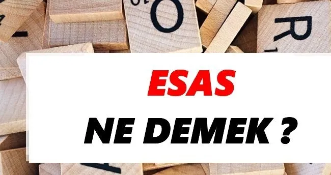 TDK’ya Göre Esas Nasıl Yazılır? Esas Mı Essas Mı? İşte Doğru Yazılışı ve Cümle Örnekleri