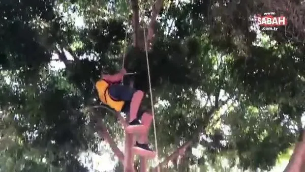 Paraşütle ağaca indi | Video