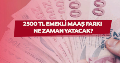 EMEKLİ MAAŞI ZAM FARKLARI ÖDEME GÜNLERİ 2024 | SSK, Bağkur emekli maaş farkları yattı mı, ne zaman ödenecek?