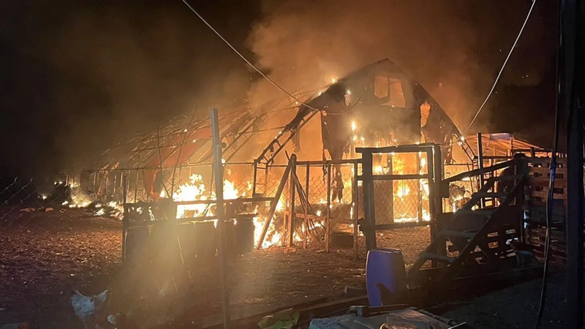 Bursa’da çiftlikte yangın: 580 kanatlı hayvan telef oldu Bursa’da çiftlikte yangın: 580 kanatlı hayvan telef oldu