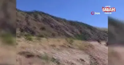 Bin adet keklik doğaya salındı | Video