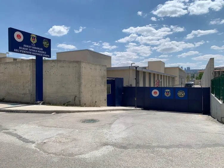 Bedirhan Şener iddianamesinin detayları ortaya çıktı... Annesi Bedirhan Şener’den şikayetçi olmadı