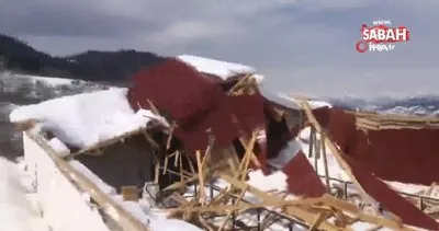 Artvin’de kar yağışı nedeniyle 5 ahırın çatısı çöktü | Video